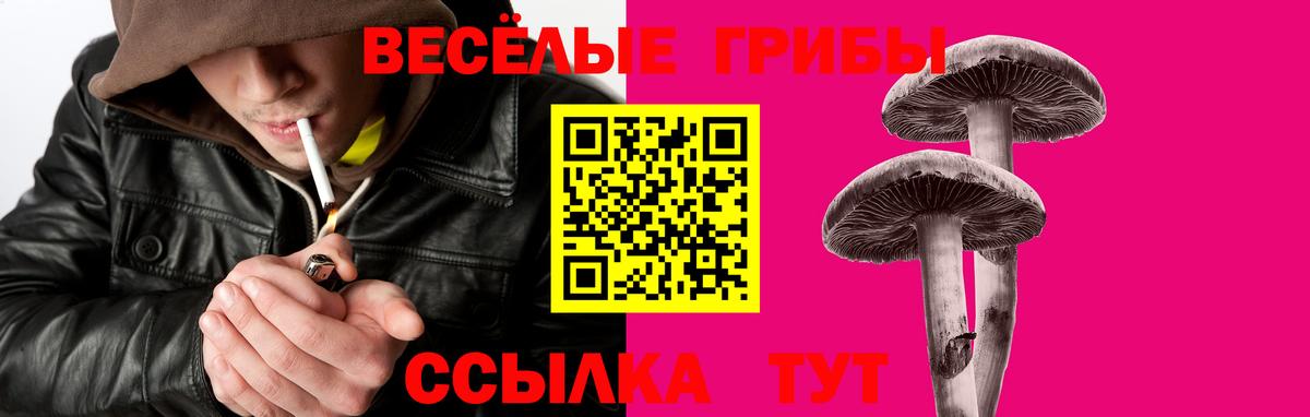 Туймазы  Псилоцибиновые грибы Magic Shrooms  Вход с VPN 
